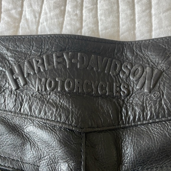 Genuine Harley-Davidson Leather Riding Pants - Picture 2 of 8